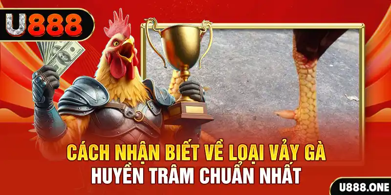 Chú hề Patty tuổi teen