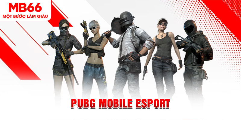 ae888 ong gà chọi c1 mới nhất