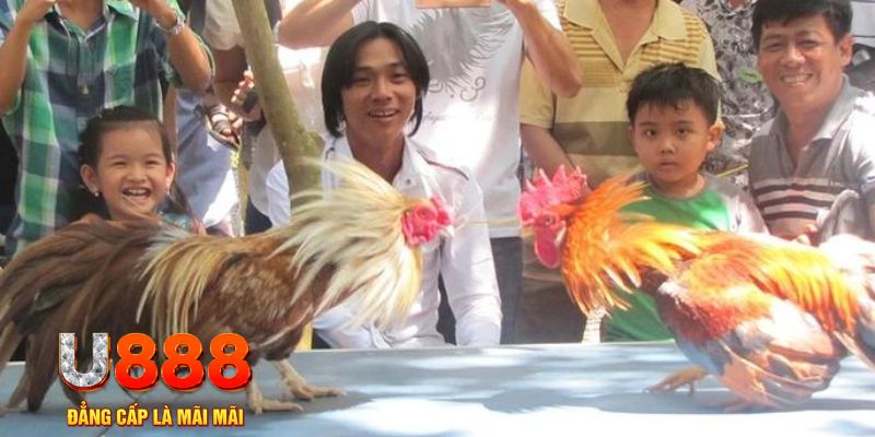 ae888 ong mơ thấy nổ hũ đánh con gì