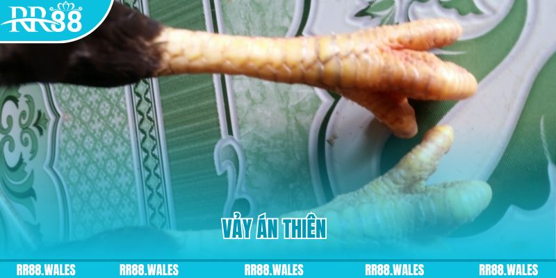 ae888 ong who wants to be a millionaire slot